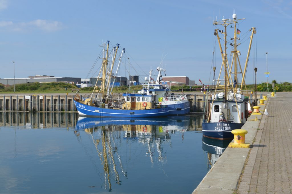 DSC_7784
