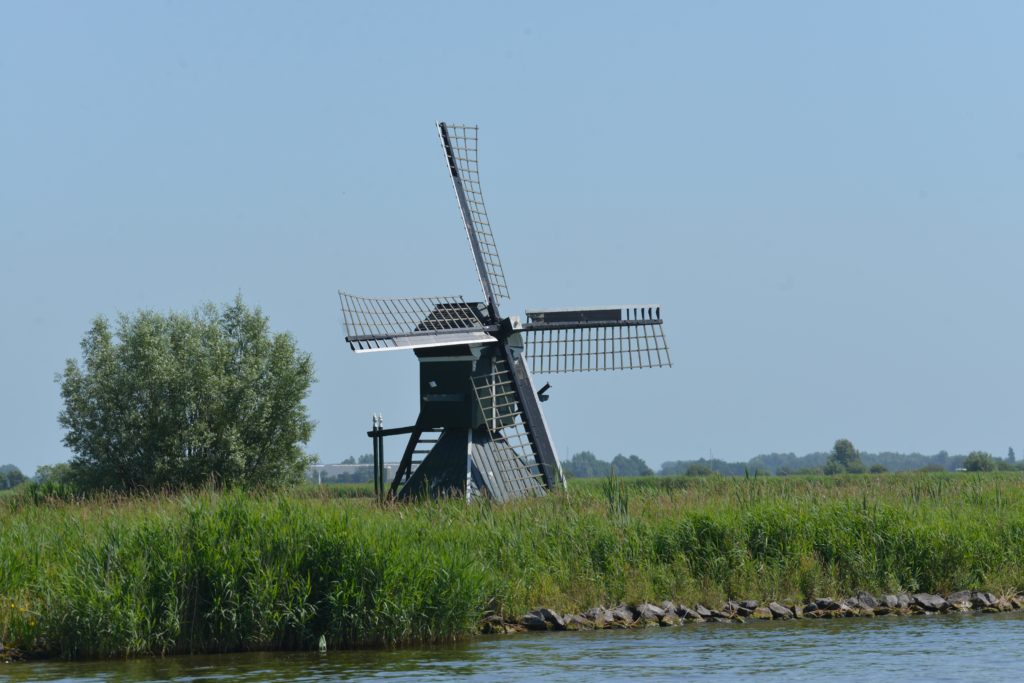 DSC_8350a