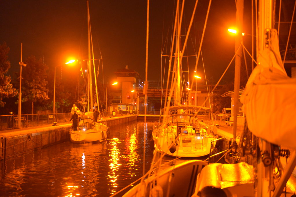 DSC_8517