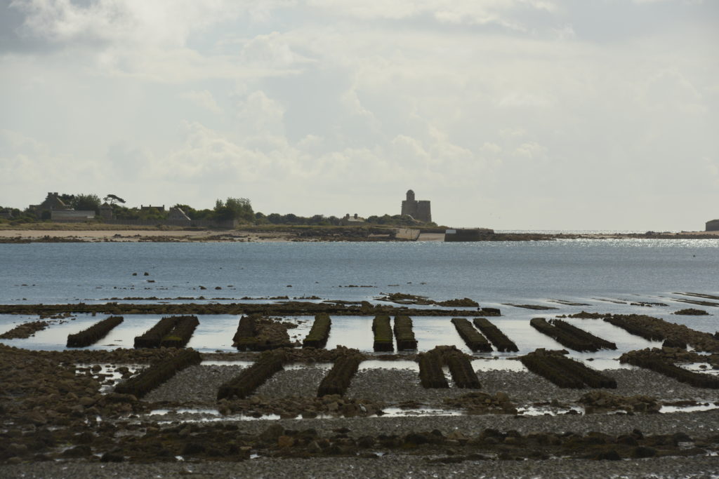 DSC_9601