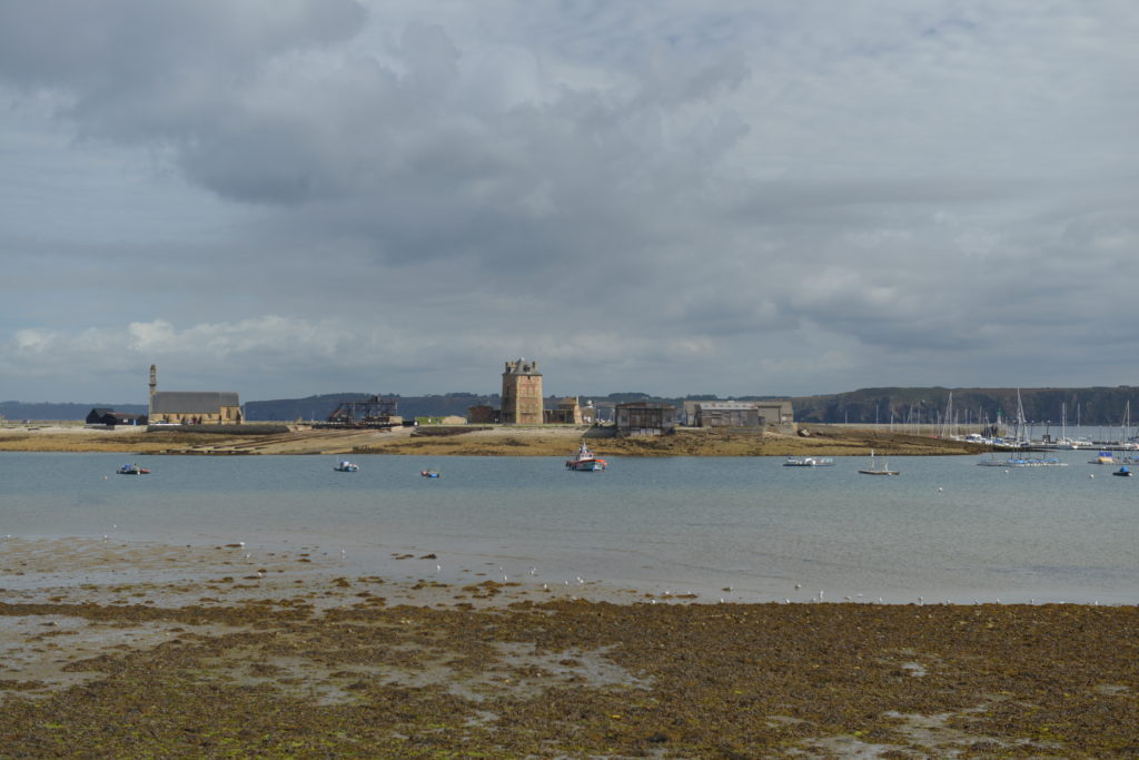DSC_9897