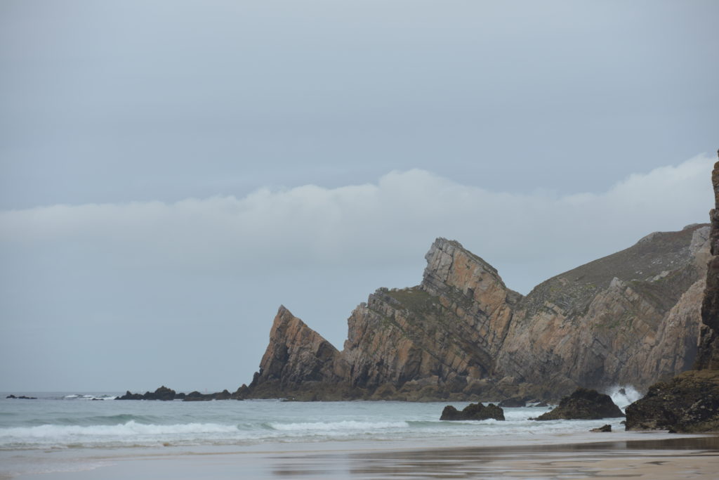 DSC_9904