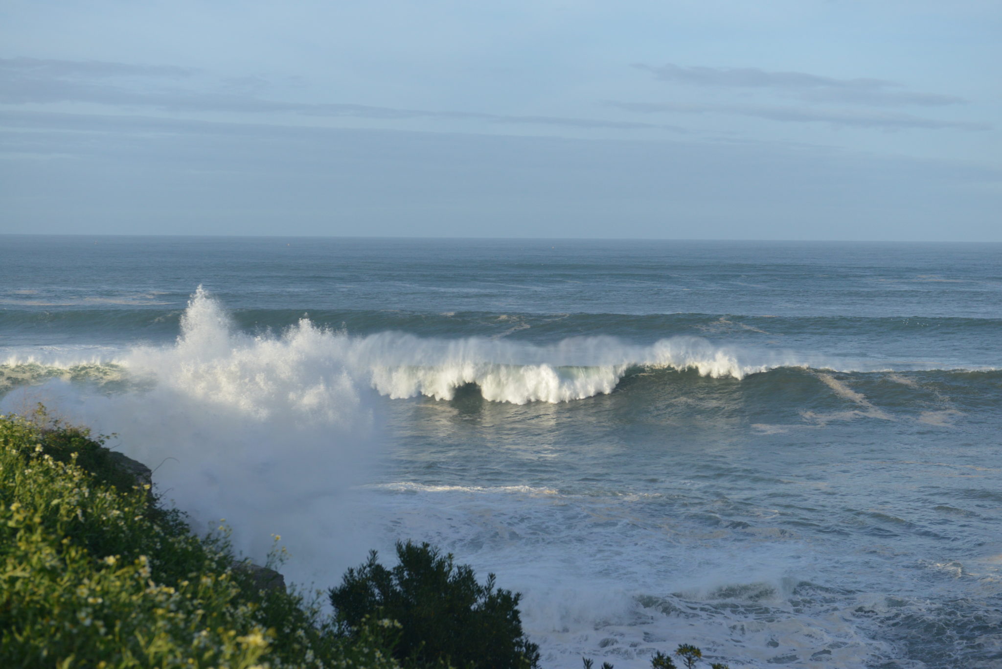 DSC_0276