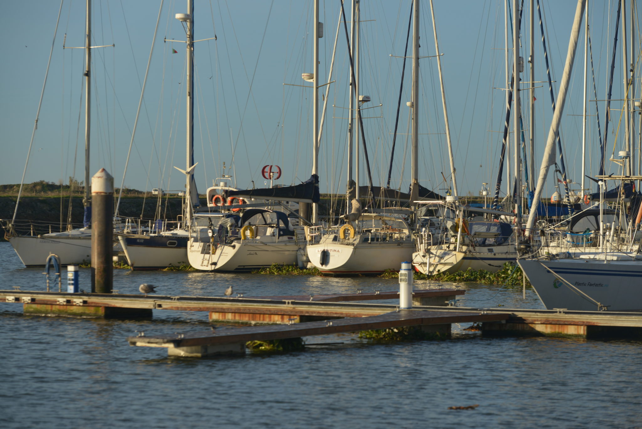 DSC_0541
