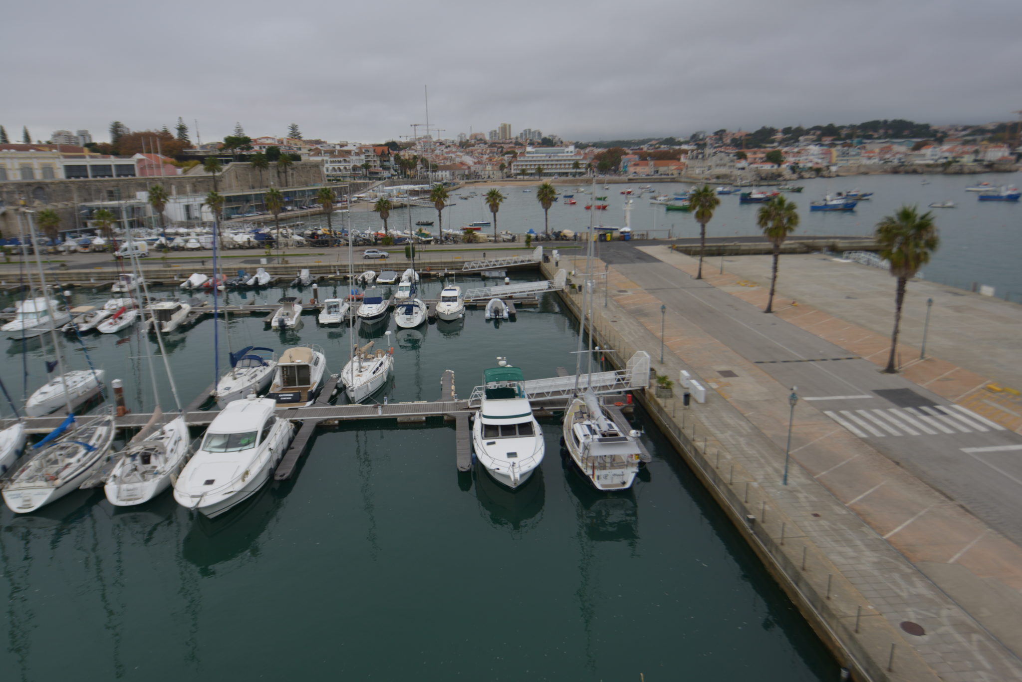 DSC_1019