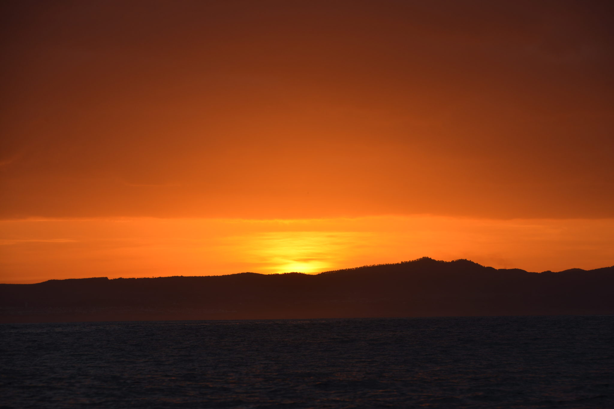 DSC_1642