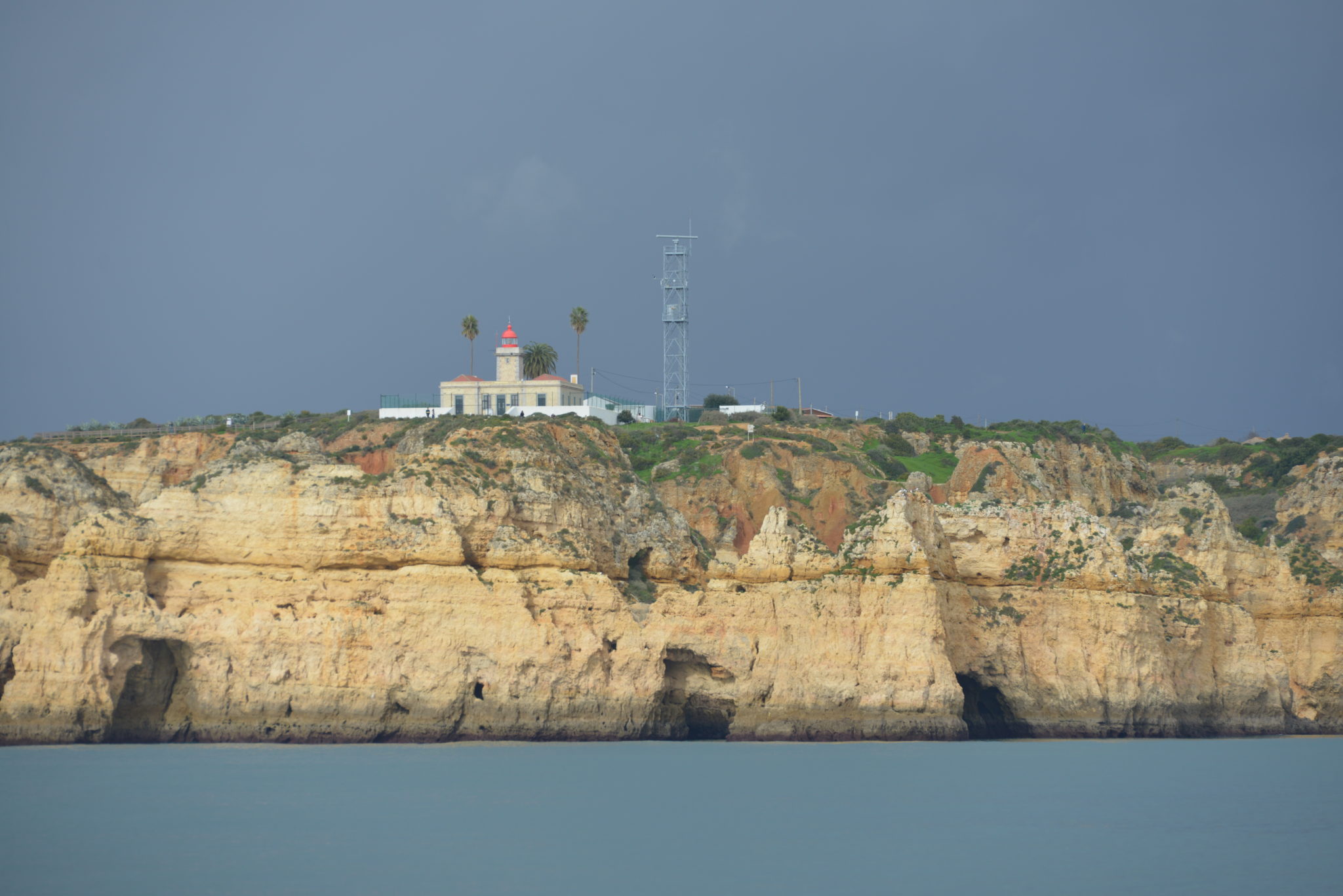 DSC_1884